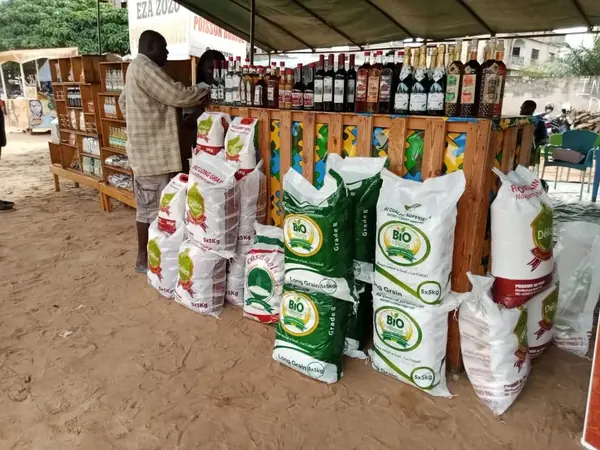 Riz Bio Village, Délice et Cosamel, liqueurs et vins locaux