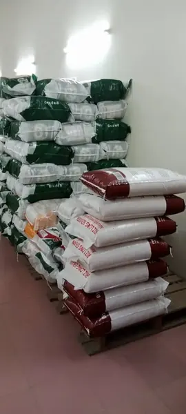 Sacs de riz en stock à la centrale